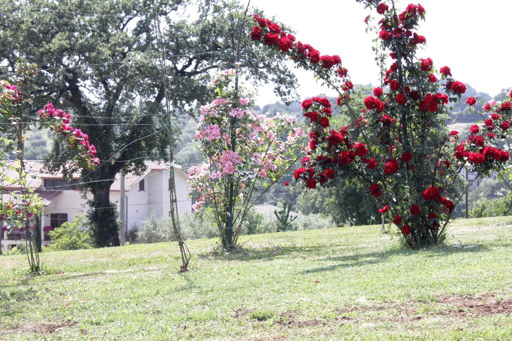 Agriturismo Nociquerceto Tarano Bagian luar foto